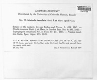 Image Associated With the Occurence